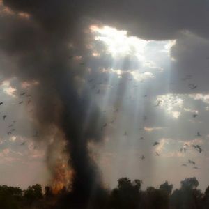 Meet your Posher, Yjb